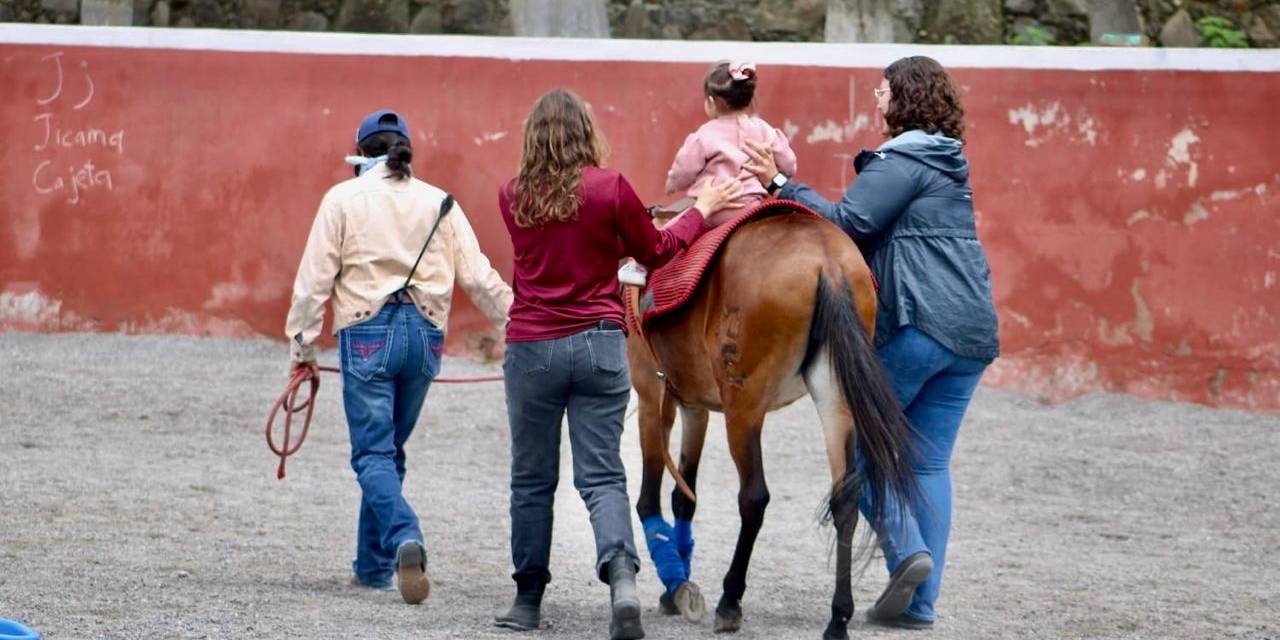 Con equinoterapia brindan atención a 40 niños y niñas en Pachuca