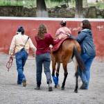 Con equinoterapia brindan atención a 40 niños y niñas en Pachuca