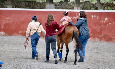 Con equinoterapia brindan atención a 40 niños y niñas en Pachuca