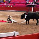 Lento avance en iniciativa contra la tauromaquia