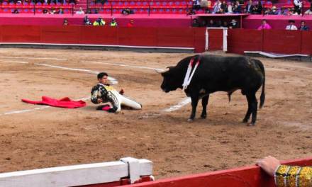 Lento avance en iniciativa contra la tauromaquia