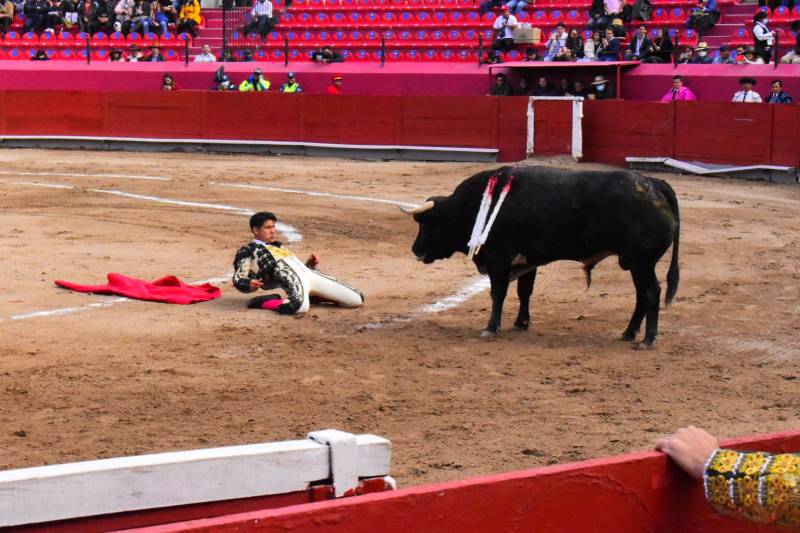 Lento avance en iniciativa contra la tauromaquia
