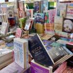Mineral de la Reforma celebra su Feria del Libro 2025