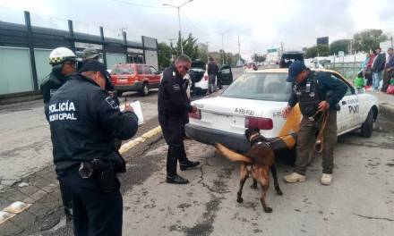 Persiste operación de transporte público pirata