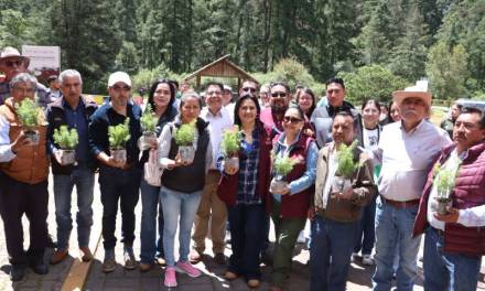 Inicia la restauración del Parque Nacional El Chico, tras plaga forestal