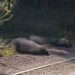 Hallan a 2 hombres sin vida en Tula