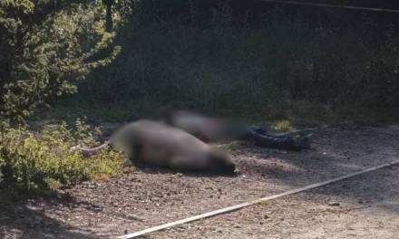 Hallan a 2 hombres sin vida en Tula