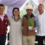 Entregan más de 377 mil plantas forestales