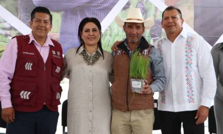 Gobierno de Hidalgo entrega más de 377 mil plantas forestales