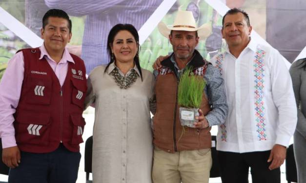Gobierno de Hidalgo entrega más de 377 mil plantas forestales