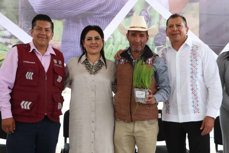 Entregan más de 377 mil plantas forestales