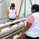 Hidalgo es referente nacional en escuelas de capacitación para el trabajo
