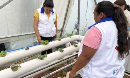 Hidalgo es referente nacional en escuelas de capacitación para el trabajo