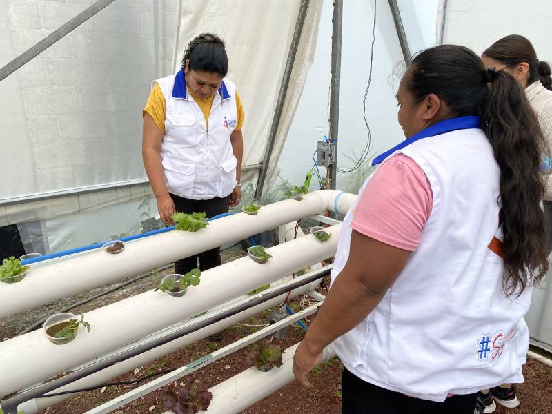 Hidalgo es referente nacional en escuelas de capacitación para el trabajo