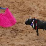 Sin avance, iniciativa vs la tauromaquia