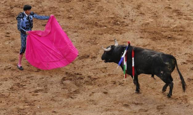 Sin avance, iniciativa vs la tauromaquia