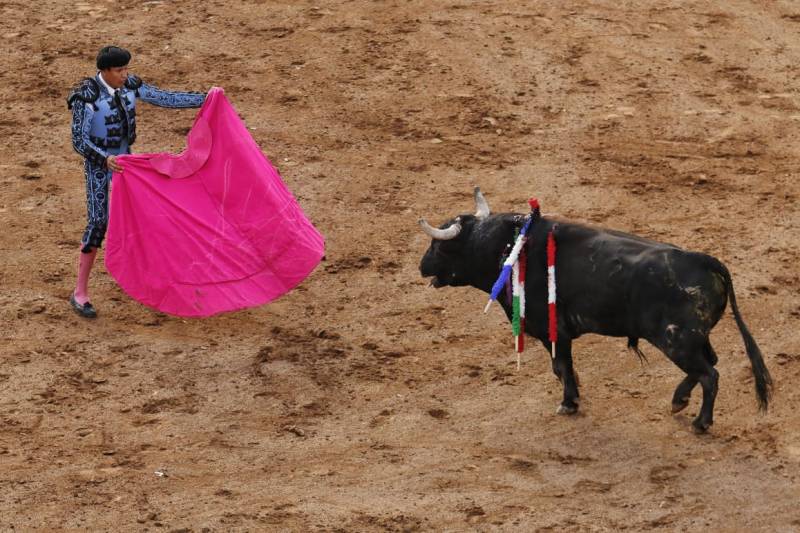 Sin avance, iniciativa vs la tauromaquia