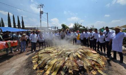 Destapan los hornos más grandes de México de barbacoa y ximbó en Actopan