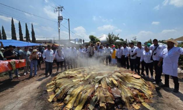 Destapan los hornos más grandes de México de barbacoa y ximbó en Actopan