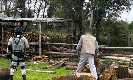 Aplican operativo contra la tala ilegal en Metzquititlán