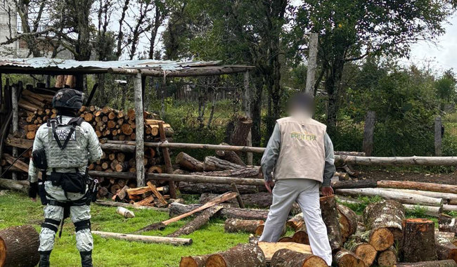 Aplican operativo contra la tala ilegal en Metzquititlán