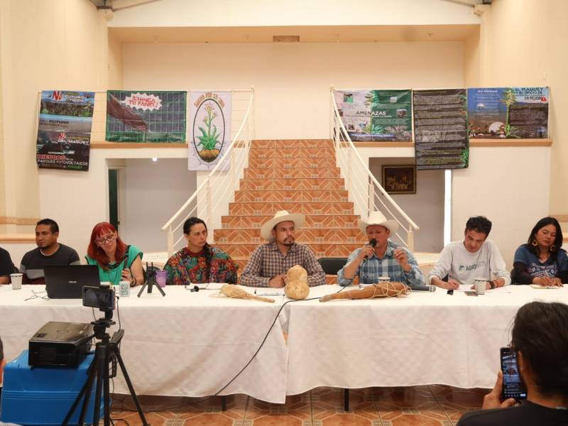 Rechazan instalación de parque solar en Singuilucan