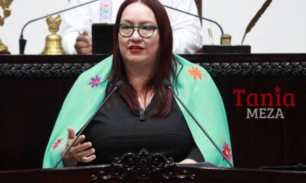 Ley de periodistas sigue en análisis: Tania Meza