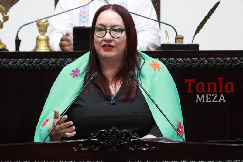 Ley de periodistas sigue en análisis: Tania Meza