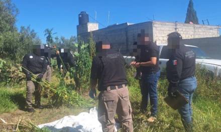 FGR ejecuta operativos en 2 municipios