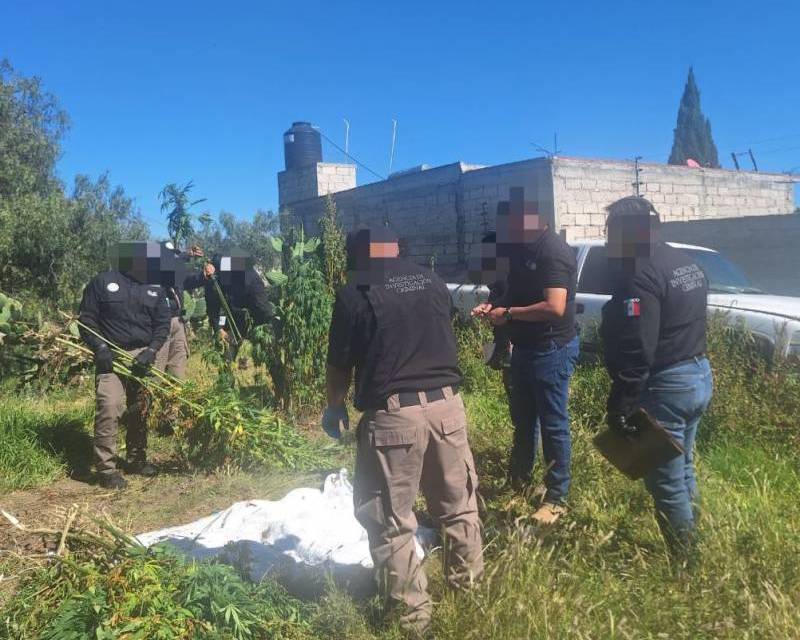 FGR ejecuta operativos en 2 municipios