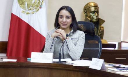 Mónica Reyes se descarta como dirigente en Nueva Alianza