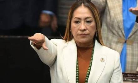 Entre rumores por fraude, se ausenta diputada del Verde del Congreso
