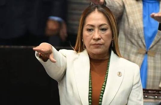 Entre rumores por fraude, se ausenta diputada del Verde del Congreso