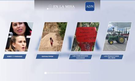 En la mira