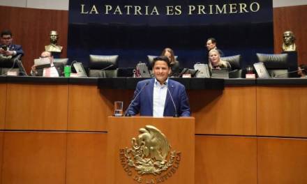 Cuauhtémoc Ochoa defiende Ley de Ingresos