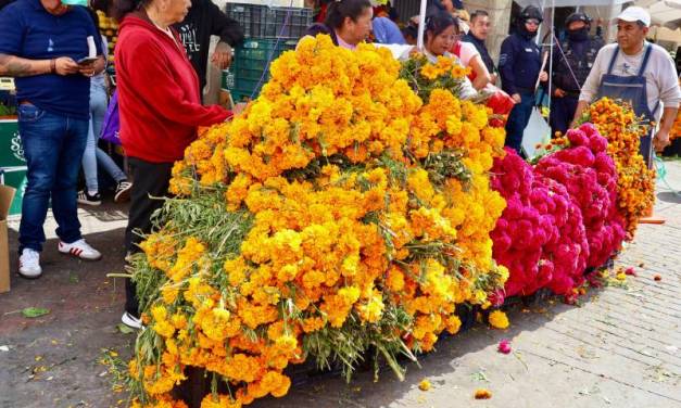 Comerciantes reportan baja venta en flor de cempasúchil
