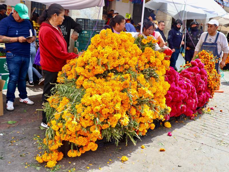 Comerciantes reportan baja venta en flor de cempasúchil