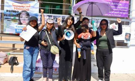 Colectivo denuncia en juzgado violencia vicaria