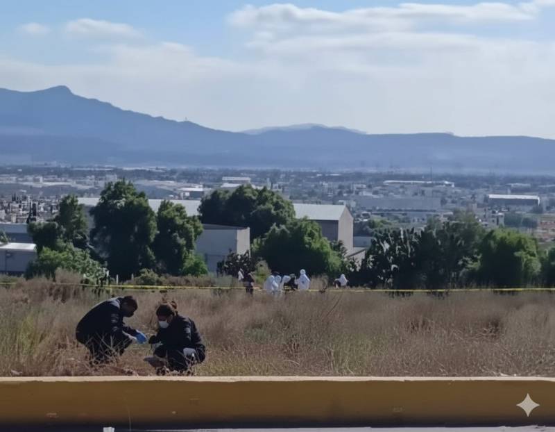 Hallan cadáver sobre predio en La Providencia