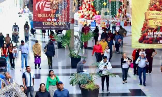 Con denuncias ante Profeco concluye el Buen Fin