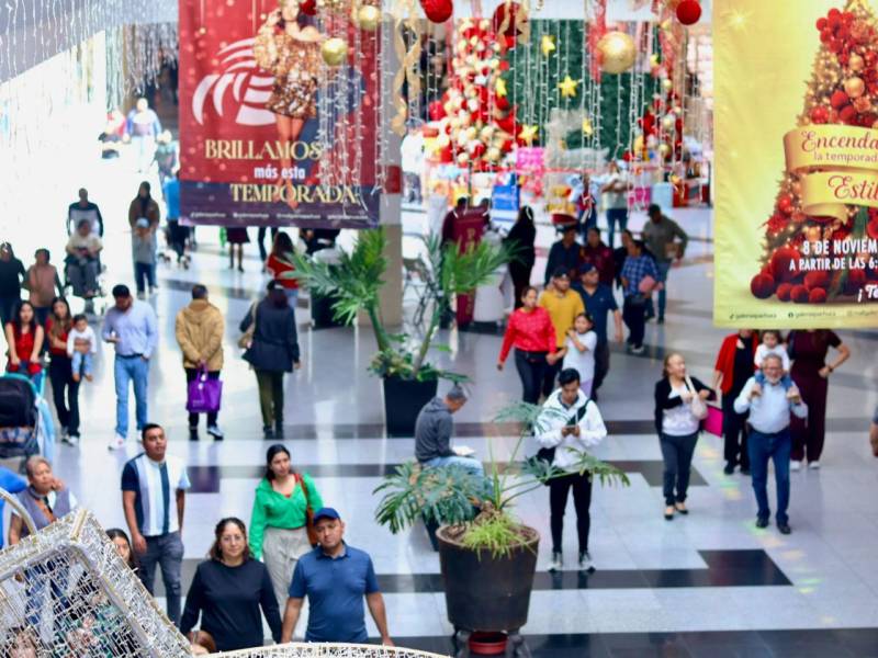 Con denuncias ante Profeco concluye el Buen Fin