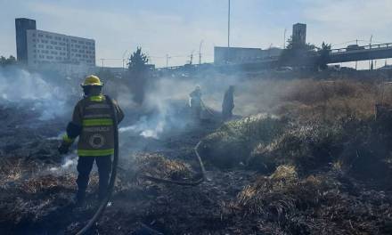 Controlado, incendio en pastizal ubicado en Pachuca