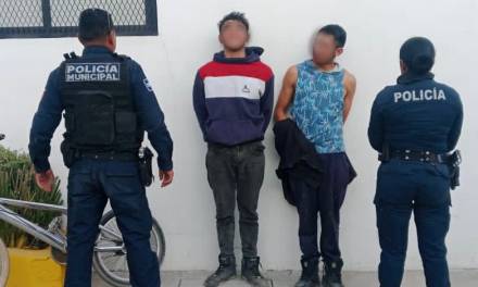 Caen 2 con posesión de drogas en Mineral de la Reforma