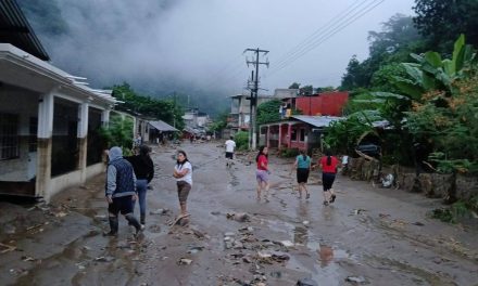 Revisan estrategia de reubicación para damnificados   