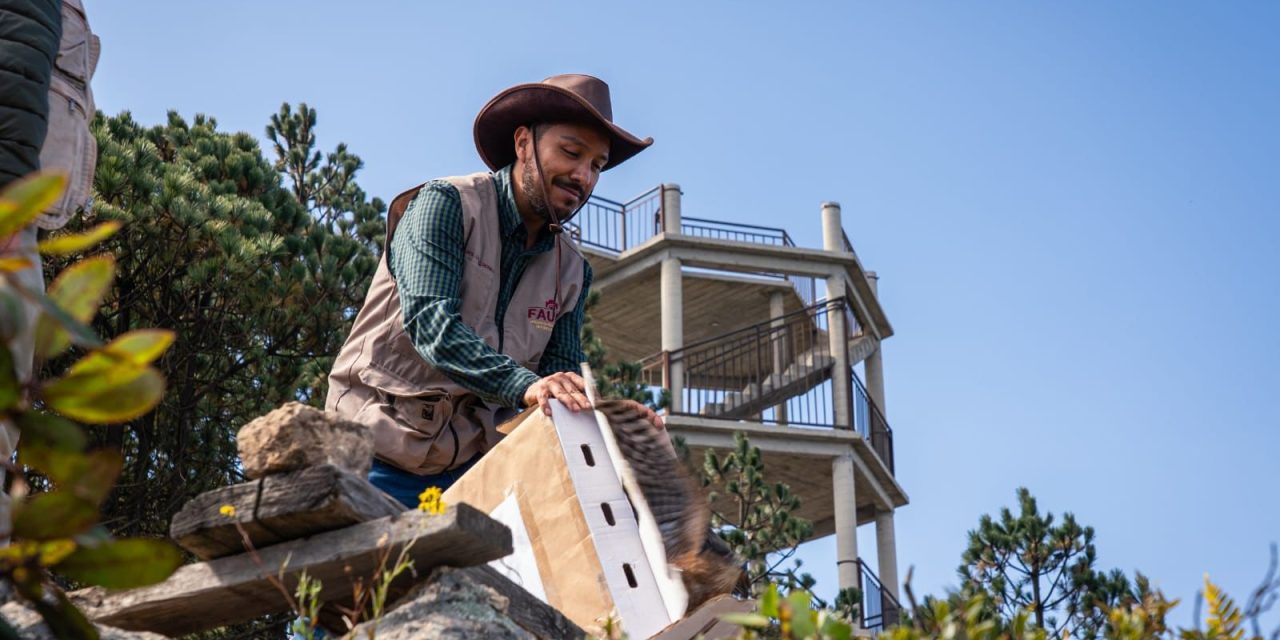 Liberan fauna silvestre en área natural de Epazoyucan