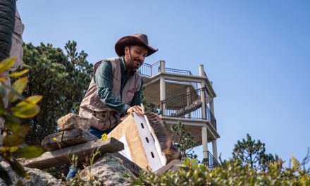 Liberan fauna silvestre en área natural de Epazoyucan