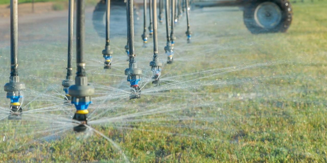 Conagua destinó casi 8 mil mdp para riego agrícola en México