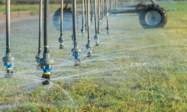 Conagua destinó casi 8 mil mdp para riego agrícola en México