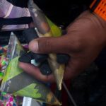 En Pachuca van decomisados 158 kilogramos de pirotecnia