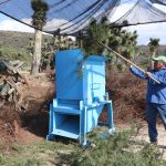 Impulsan campaña de reciclaje de árboles de Navidad